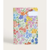 Carnet Capri