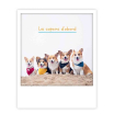 Carte postale - Les copains d'abord - ZG1407FR