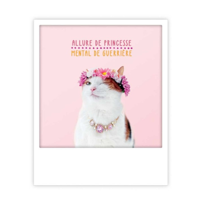 Carte postale - a toast to you - ZG0953EN