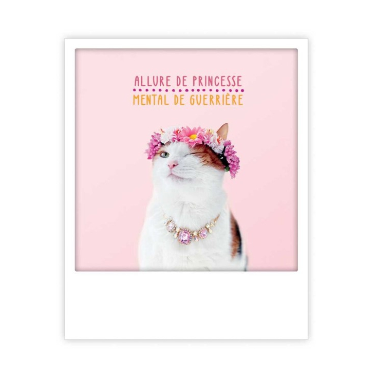 Carte postale - a toast to you - ZG0953EN