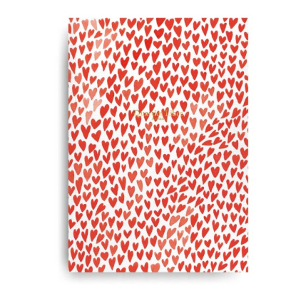 Carnet - A5 - Coeurs