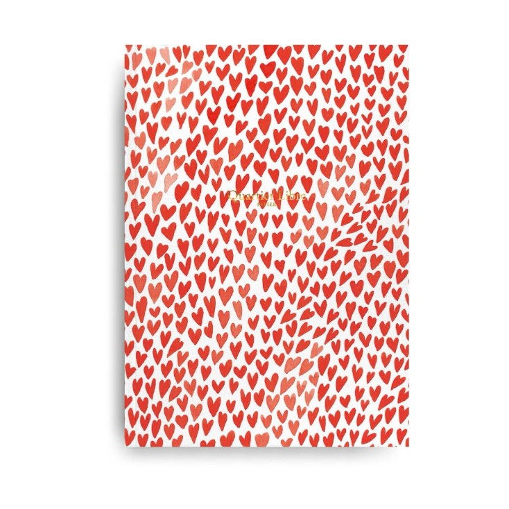 Carnet - A5 - Coeurs