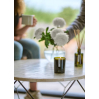 Bougie parfumée - Herbal Tea - 200g - Camomille, lavande et eucalyptus