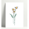 Carte simple - printemps fleurs jaunes
