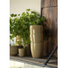 Mug sans anse - Mustard Dunes - 2440-03