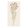 Serviettes en papier - Light pink flower - 16 pces - 95920-00