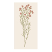 Serviettes en papier - Light pink flower - 16 pces - 95920-00
