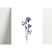 Carte simple - Blue Carnation