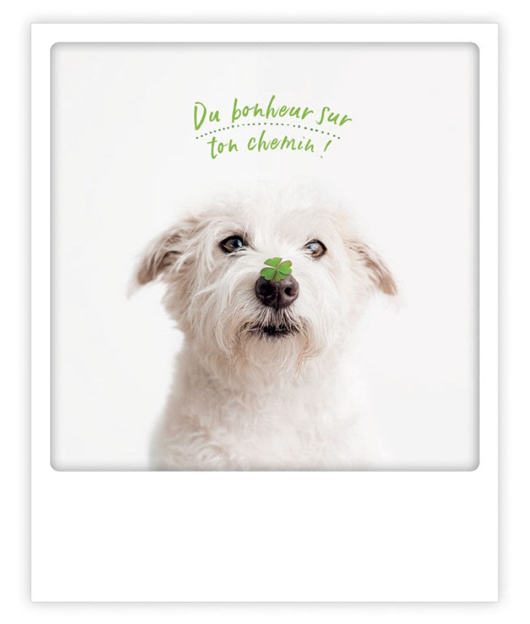Carte postale Du bonheur sur ton chemin! ZG1263FR