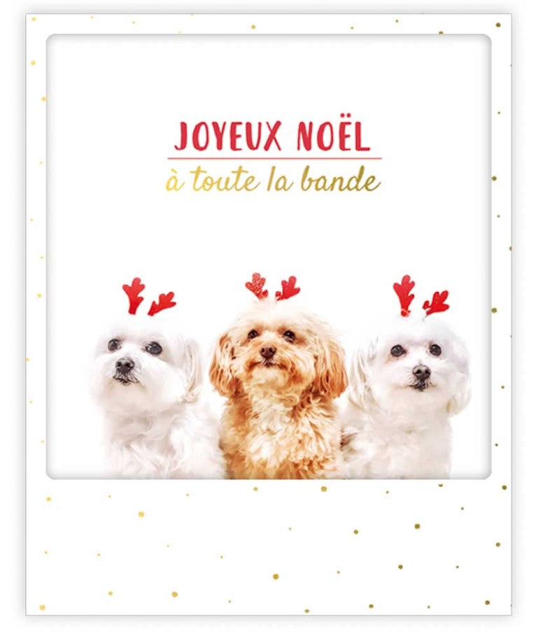 Carte postale à toute la bande XM0309FR