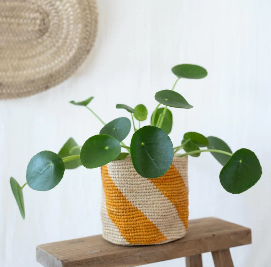 Panier en raphia Sarika - XLarge - 21cm