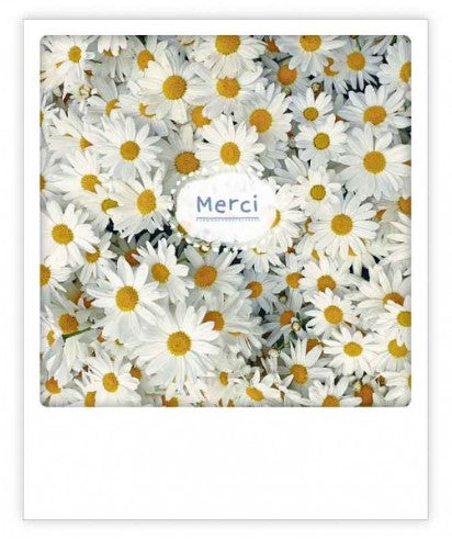 Carte postale - merci - ZG0941FR