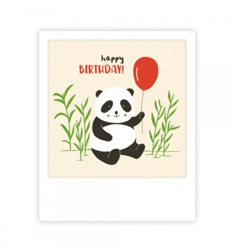 Mini carte - Happy birthday panda bear - MP0489EN