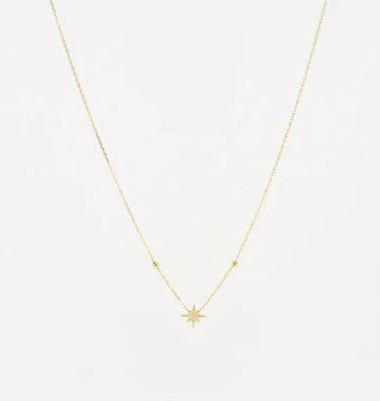 Collier Newton