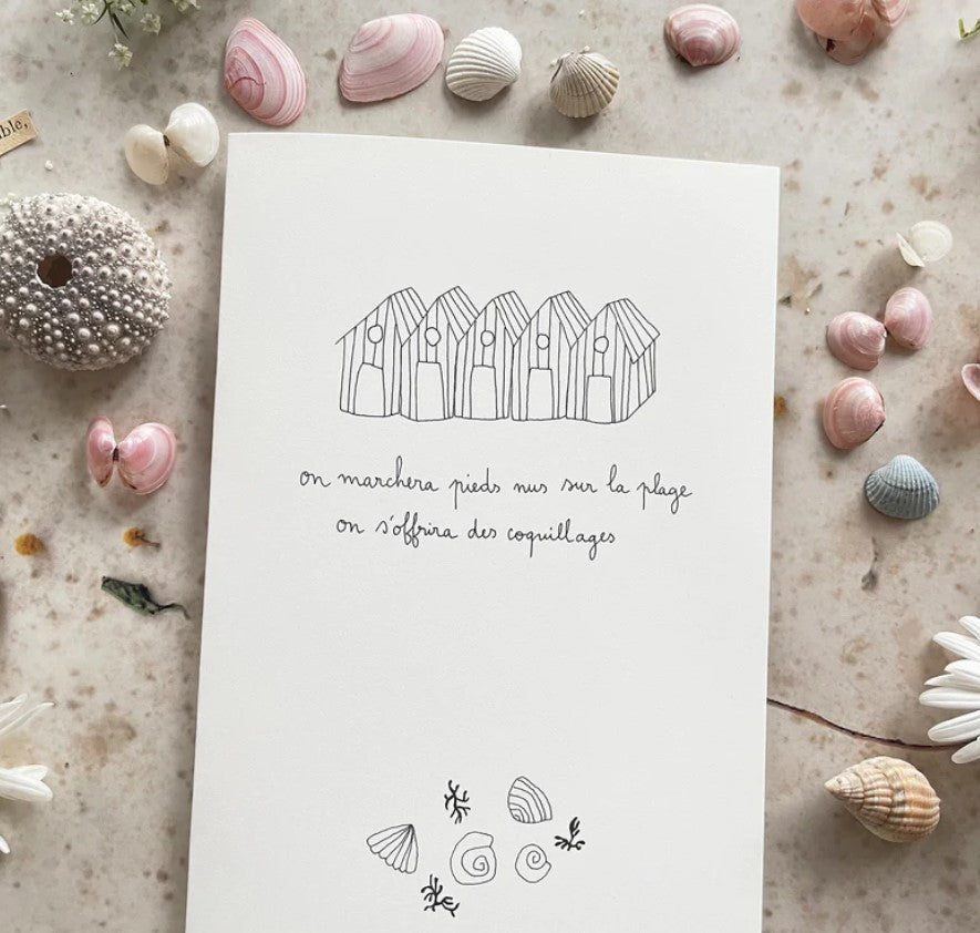 Carte Postale Double - Coquillages