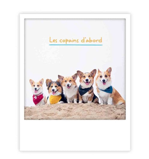 Carte postale - Les copains d'abord - ZG1407FR