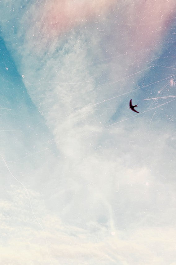 Carte - Libre