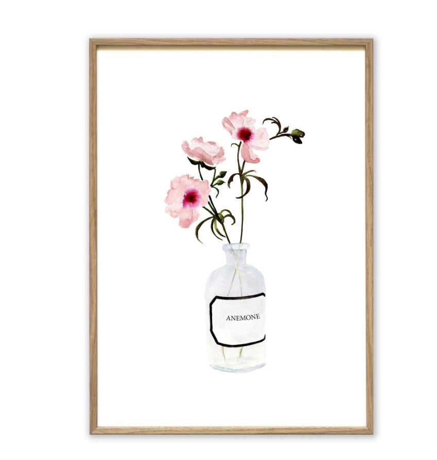 Affiche A3 Anemone Rose