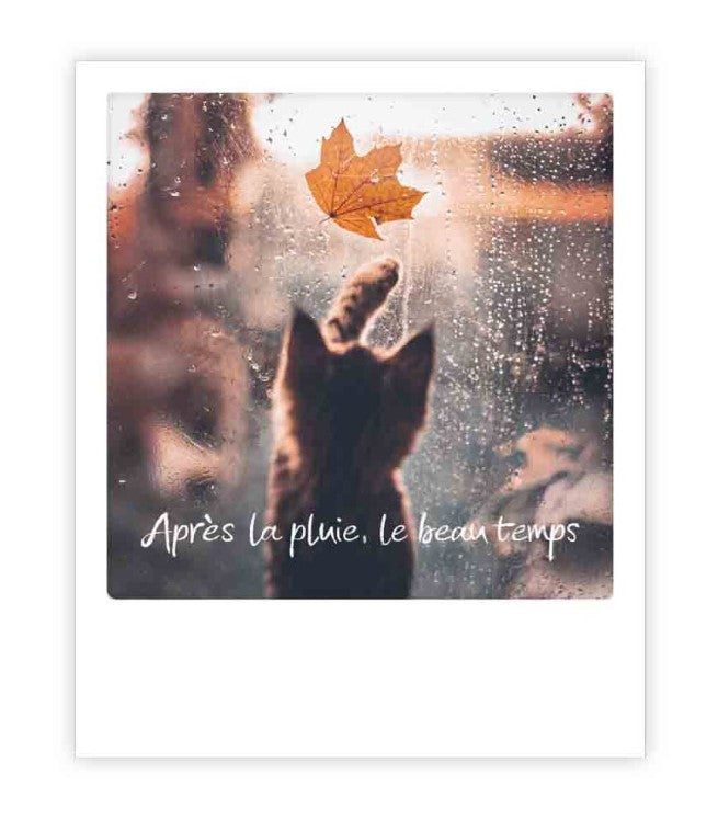Carte postale - Après la pluie - ZG1591FR