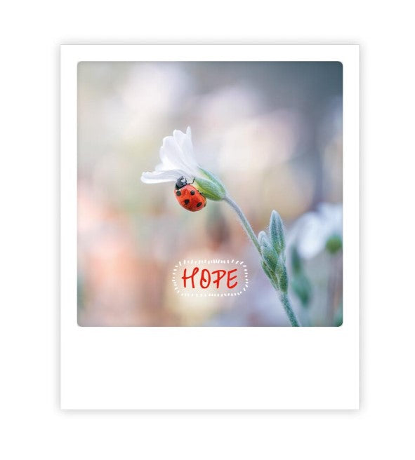 Carte postale Hope ZG0965EN