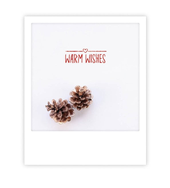 Carte postale Warm wishes pine cone XM0183EN