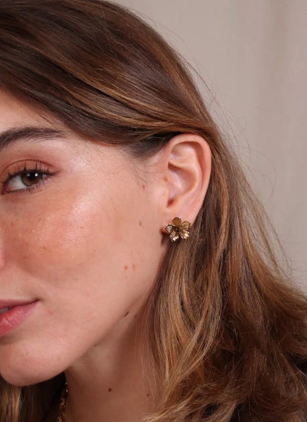 Boucles d'oreilles - Jazmin