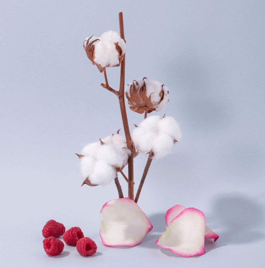 savon liquide Extra Pur 500 ml fleur de coton