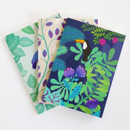 Petit Carnet - Le rêve du toucan