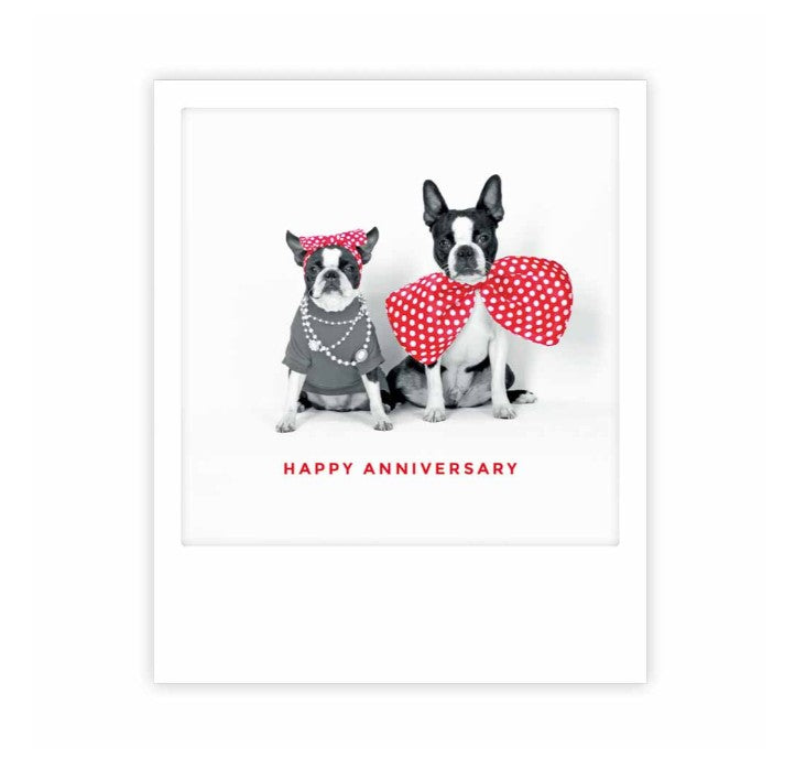 Carte postale - Happy anniversary - ZG0278EN