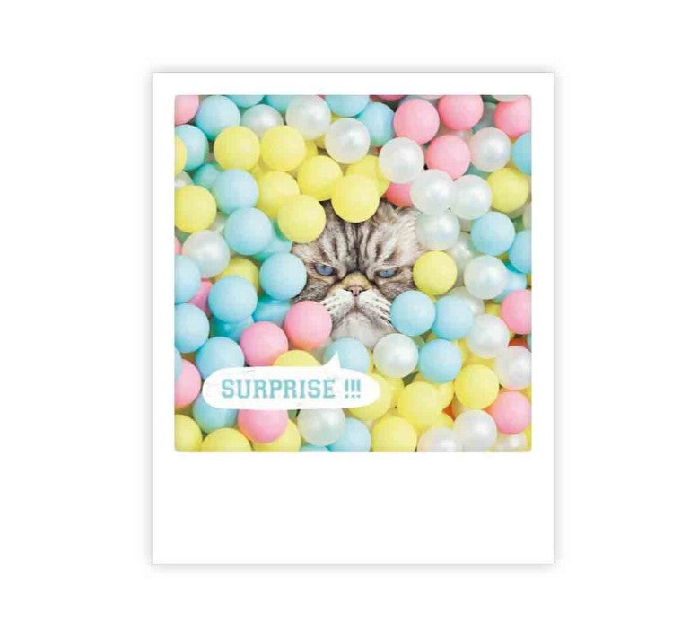Carte postale - Surprise - ZG0910EN
