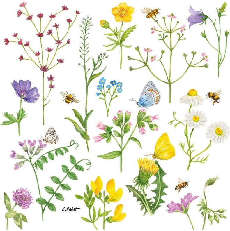 Serviettes en papier - Cornflowers - 133002173