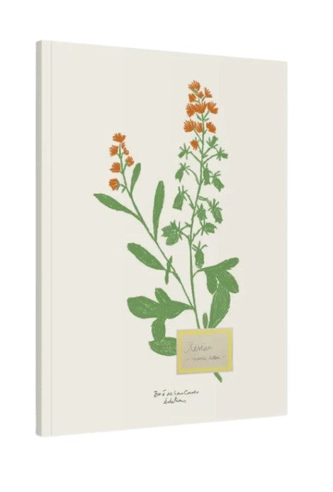 Carnet A5 - Fleurs