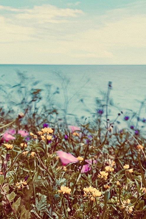 Carte - Fiori & Mare