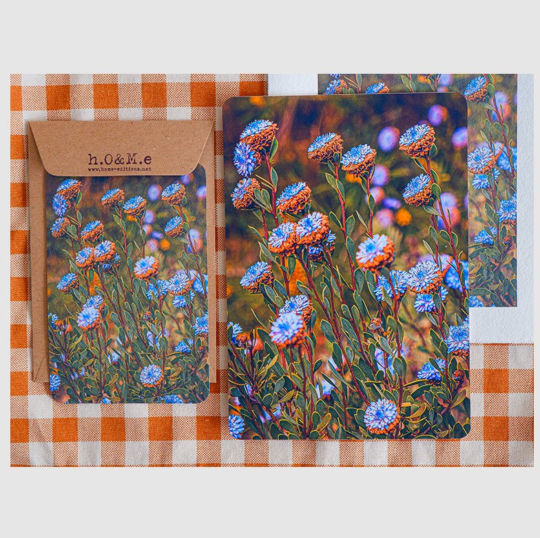 Carte - Mauves