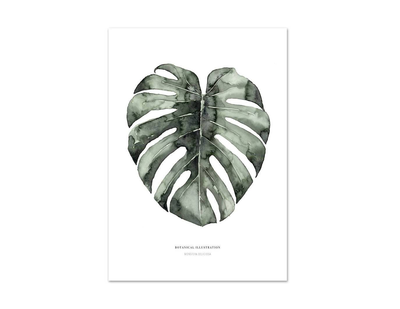 Affiche A2 Urban monstera