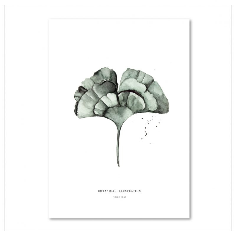 Affiche A2 Ginkgo leaf