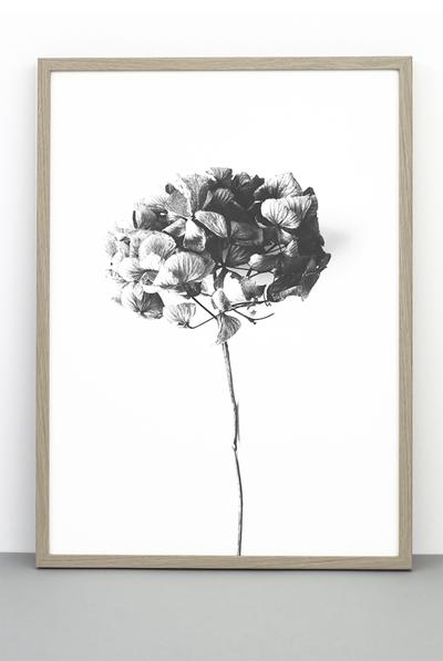 Affiche 50x70 cm - Honey honey