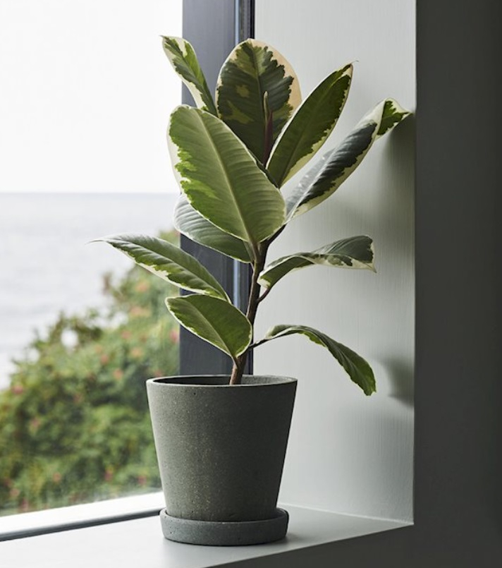 Pot de fleur avec soucoupe - M - Grey