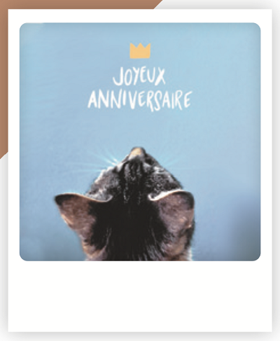 Carte postale Joyeux anniversaire ZG0695FR