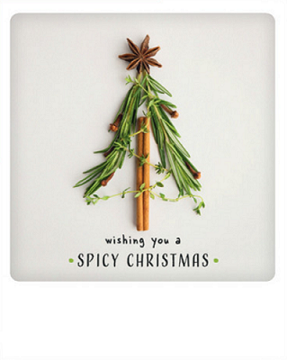 Carte postale Spicy Christmas XM0171EN