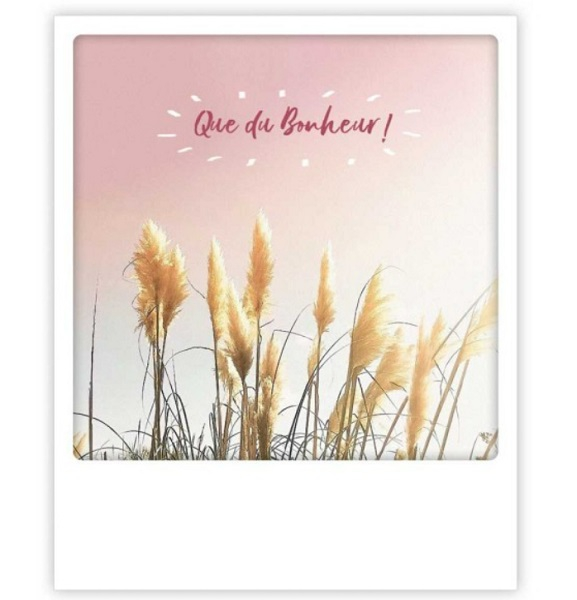 Carte postale - Que Du Bonheur - ZG0877FR