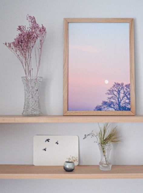 Carte Moon Bird