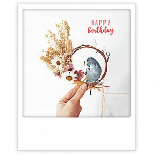 Carte postale Happy Birthday ZG0948EN
