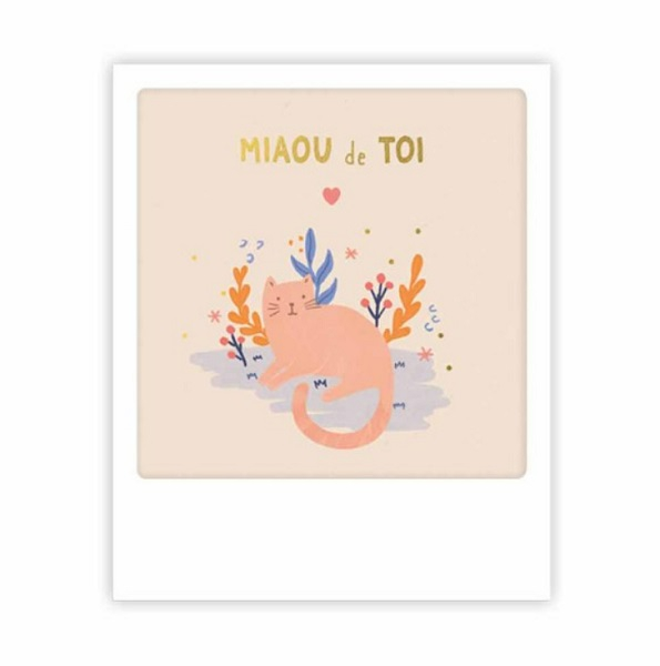 Mini carte postale Miaou De Toi MP0765FR