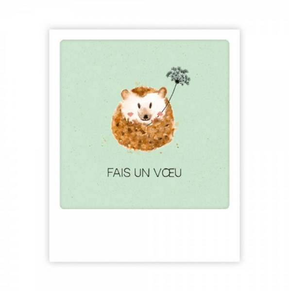 Mini carte postale Fais Un Voeu MP0609FR