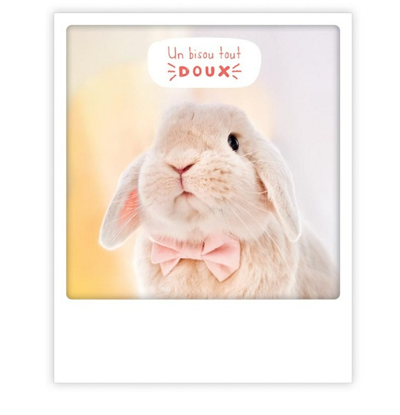 Carte postale - Un bisou tout doux - ZG1258FR