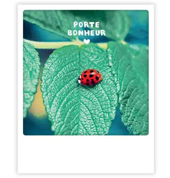 Carte postale - Porte bonheur - ZG1339FR