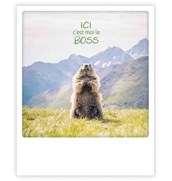 Carte postale - ici c'est moi le boss - ZG1304FR