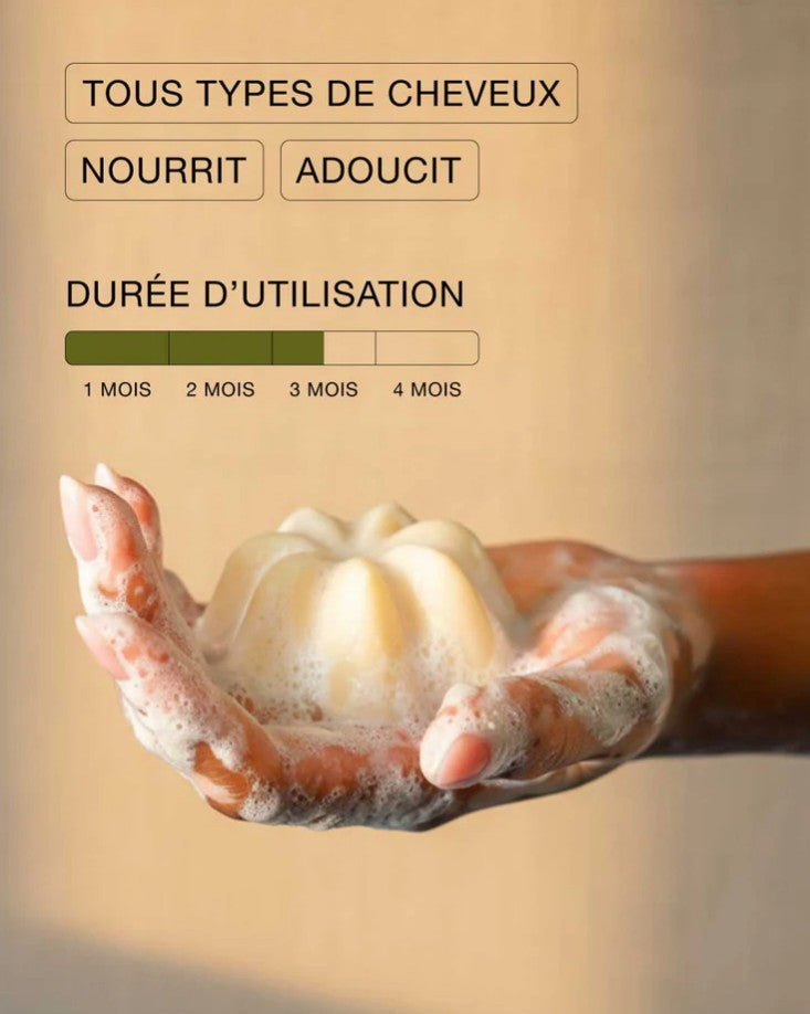 Shampoing solide - Collection - Rhubarbe sésame