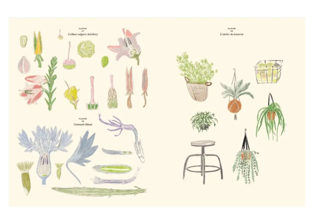Cahier de coloriage et de stickers Le Jardin